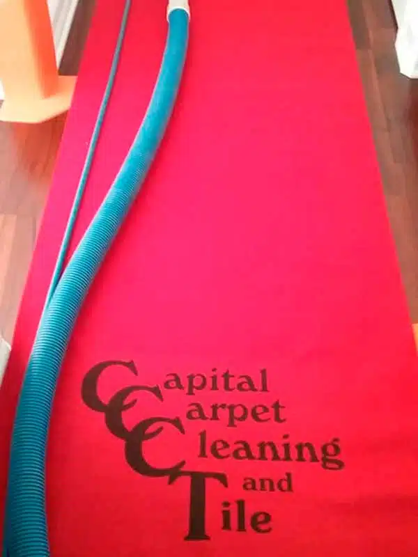 Carpet Cleaning Services in Palm Bay