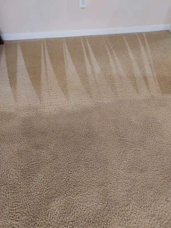 carpet cleaning
